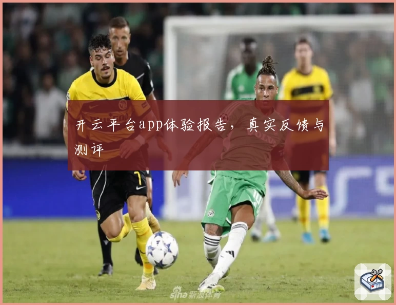 开云平台app体验报告，真实反馈与测评