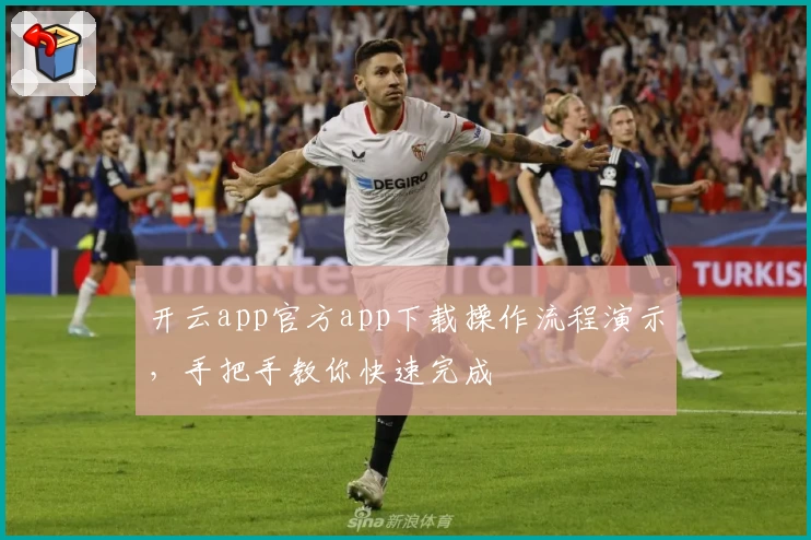 开云app官方app下载操作流程演示,手把手教你快速完成