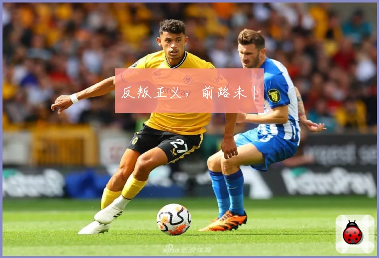 反叛正义，前路未卜