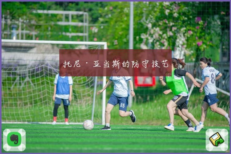 托尼·亚当斯的防守技艺