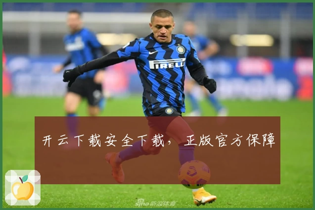开云下载安全下载，正版官方保障